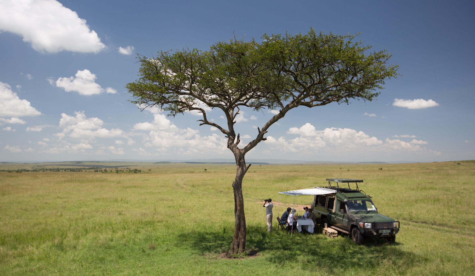 Private picnic under an acacia tree in the Masai Mara