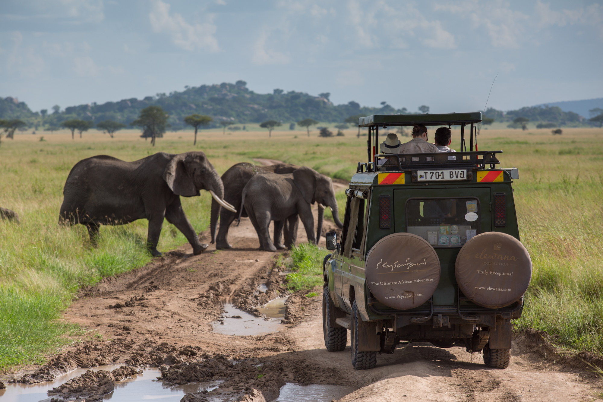 Luxury travel in Tanzania — The Serengeti Awaits