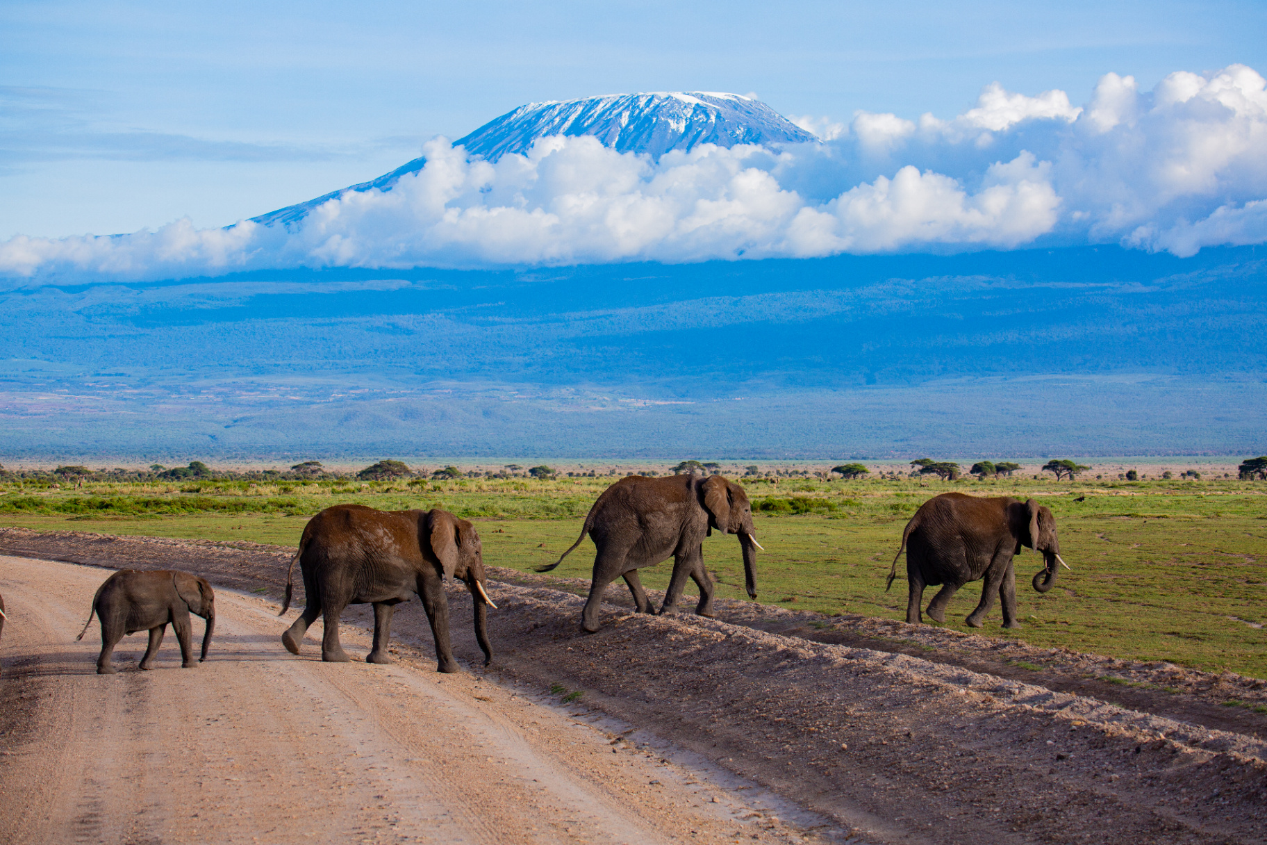 Kenya — Curated From Within