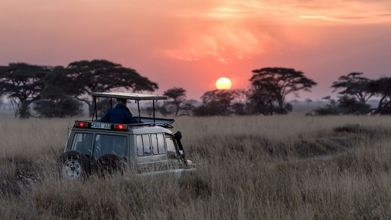Tanzania — The Migration, Quietly Arranged